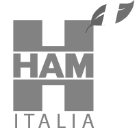HAM Italia markets LNG for civil, industrial and automotive use; and build regasification plants and LNG and LNG-C Service Stations